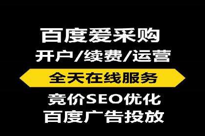 百度广告投放策略优化及成功案例解析